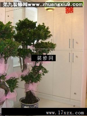 新婚房流行中式过道实景图流行储物柜