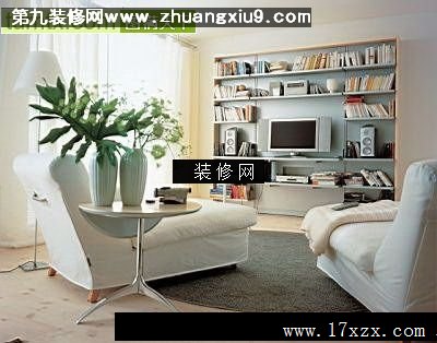 流行客厅实景图电视墙