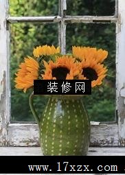̨ϵЩݲ[ͼ]