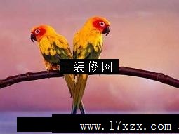 СĵǷǲϵļҾ
