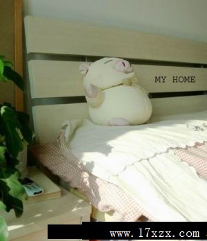 ʡǮСͼҾװ