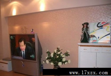 客厅装修图片