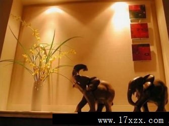 玄关装修图片