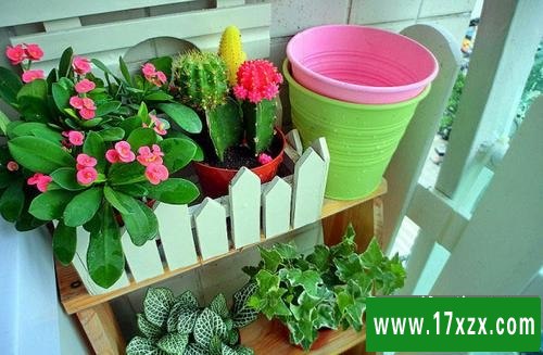 草语花香花园阳台装修效果图大全最新图片合集