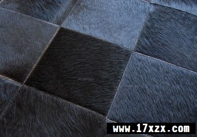 ɫ̺