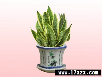 Ƥķˮ