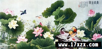 ɻ ʻװλ